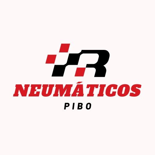 NEUMATICOS Y SERVICIOS PIBO